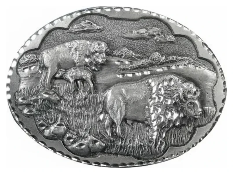 Buffalo Scene