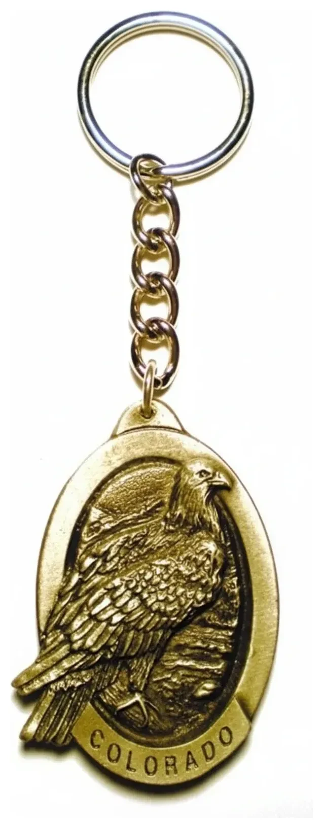 Colorado Perched Eagle