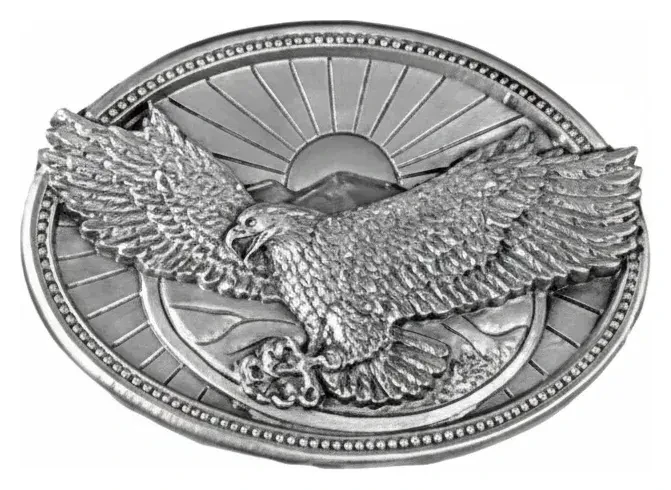 Eagle with Sun