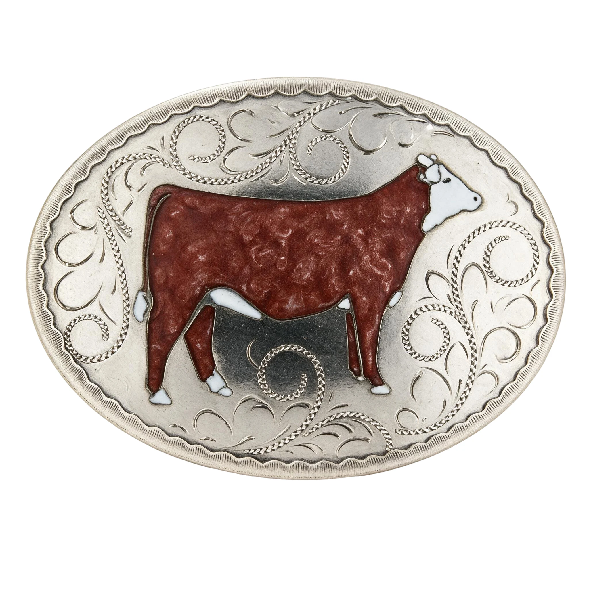 Hereford Heifer