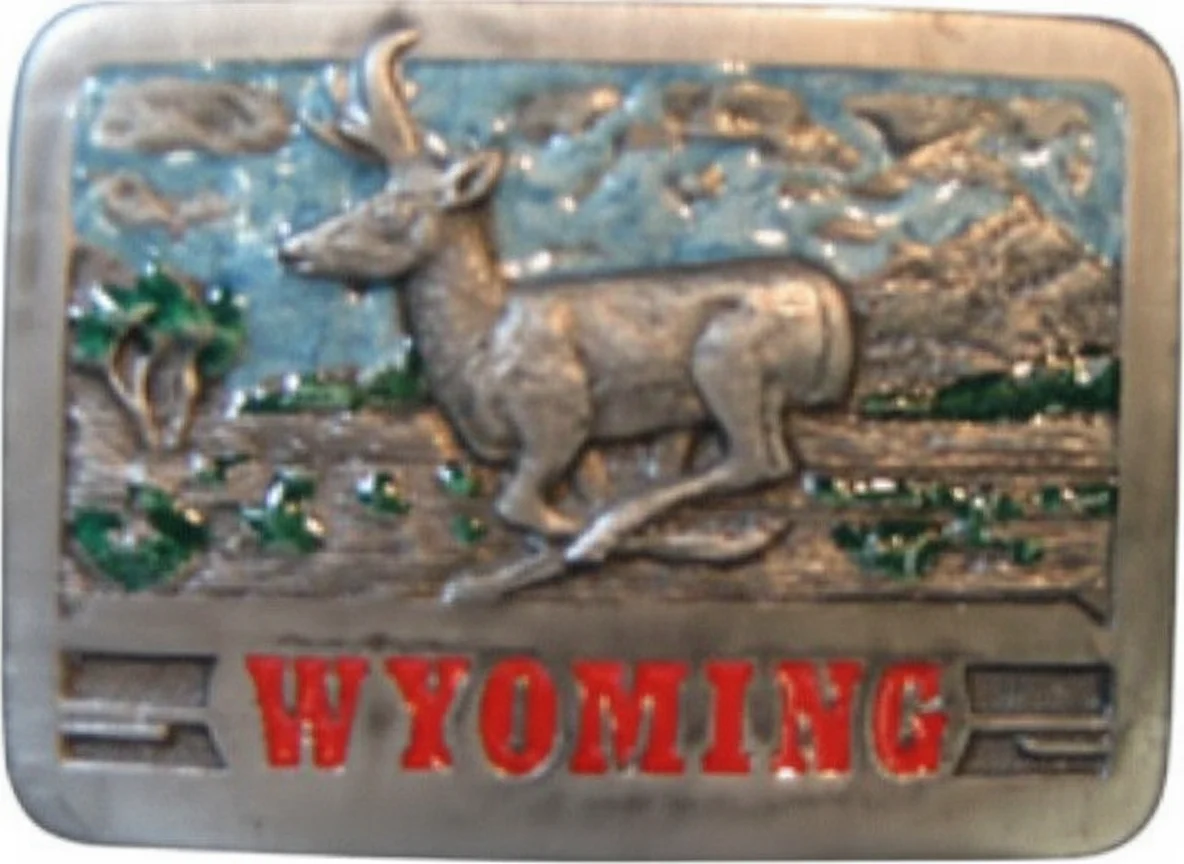 Wyoming Antelope